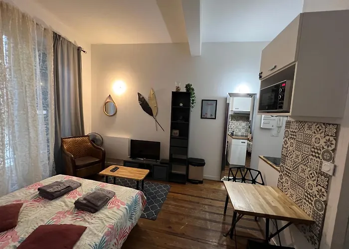 Appartement Les Du Centre Historique De Valence (Drome)